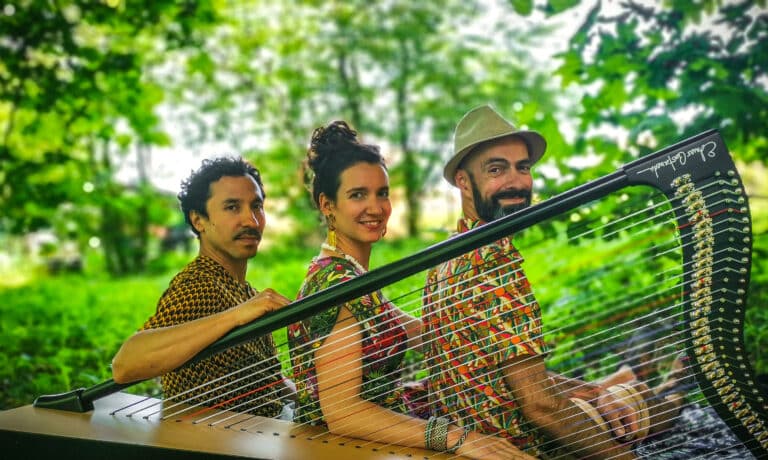 Photo du trio Mano Libre derriere harpe avec le bassiste Jhon Socha